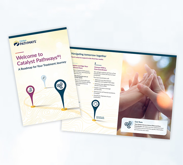 Catalyst Pathways - Roadmap Infographic