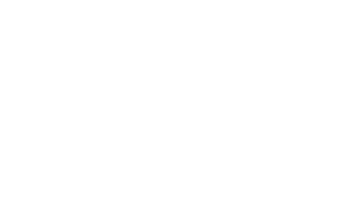 lems-mentor-image